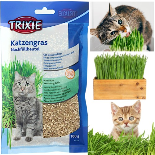 Trawa trawka dla kota nasiona przysmak Trixie 100g