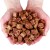 Przysmak, przekąska dla psa Kostki z Jagnięciną i Dorszem HauMiau 500g