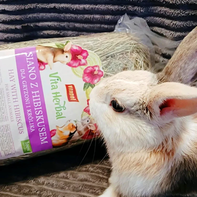 Siano sianko z Hibiskusem królika chomika świnki fretki myszy Vitapol 800g