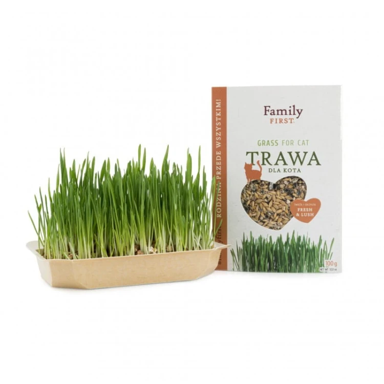 Trawa, trawka dla kota przysmak odkłaczający Family First Tylko Podlać 100g