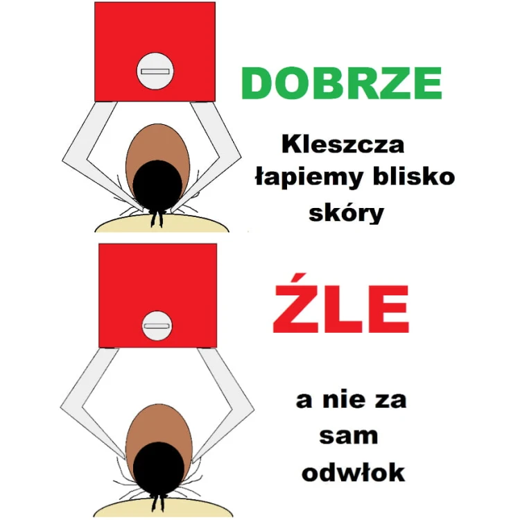 3b7843aebdcd11eaf4bb0b121f5976a8.jpg