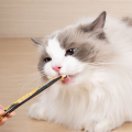 4ee68ebb52f58b67d8c6e38540938d4d.png