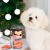35db228cf25d2254754b127275dd4410.png