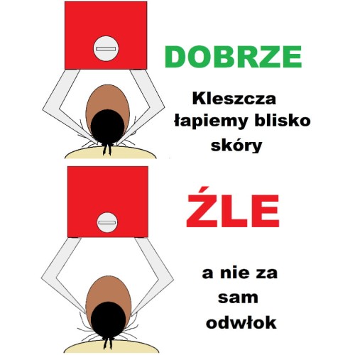 23723adc8eb99c6fcdb4eaea59cee45e.jpg